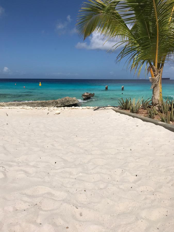 Bonaire Boutique Resort 크랄렌데이크 외부 사진