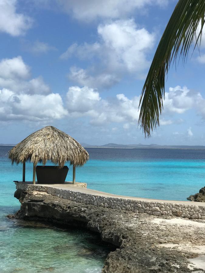 Bonaire Boutique Resort 크랄렌데이크 외부 사진